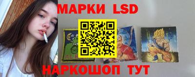 гидропоника Сланцы