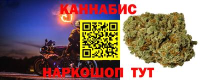 гидропоника Сланцы