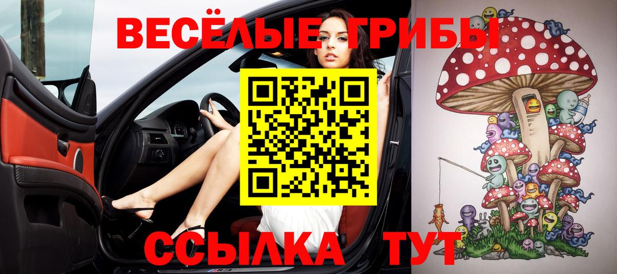 Псилоцибиновые грибы ЛСД  Галлюциногенные грибы GOLDEN TEACHER  Вход с VPN  Нововоронеж 